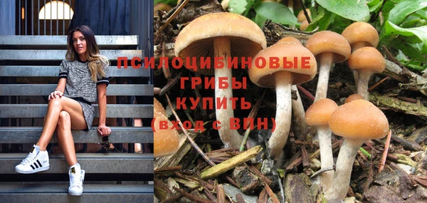 крисы Алексин
