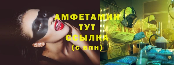 крисы Алексин