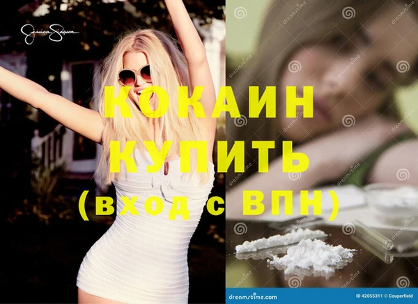 спайс Алзамай
