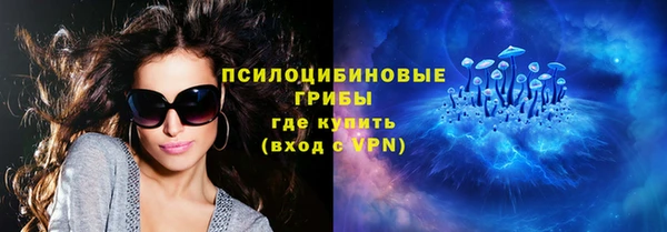 спайс Алзамай