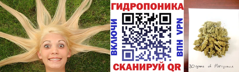 Бошки марихуана сатива Канаш